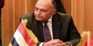 مصر: نأسف لعجز مجلس الأمن عن إصدار قرار يمكن فلسطين من الحصول على العضوية الكاملة بالأمم المتحدة