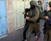 الاحتلال يعتقل مواطنة من زعترة شرق بيت لحم